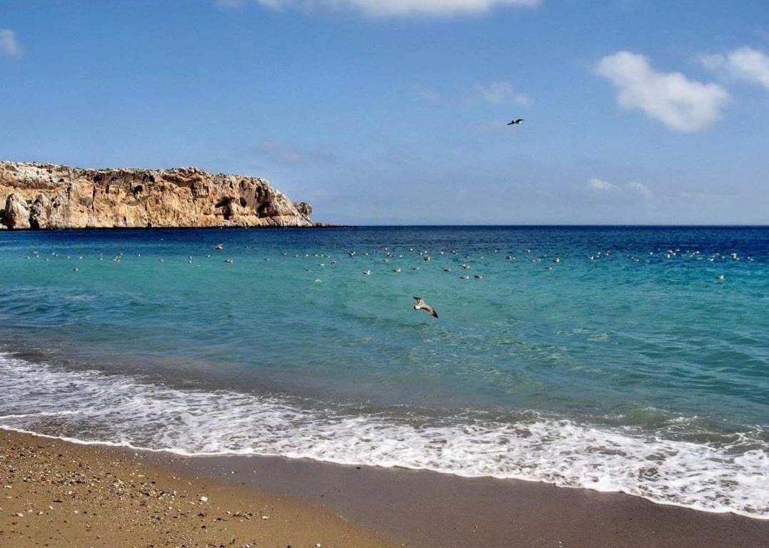 Belyounech Studio Location De Vacance Tétouan Eksteriør billede